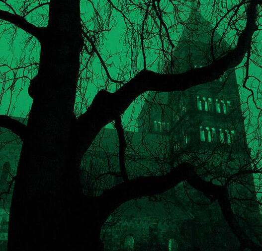 Conocer más fans de Harry Potter y sus personajes